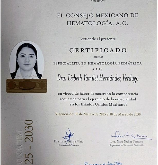 Ampliar imagen: certificate 1