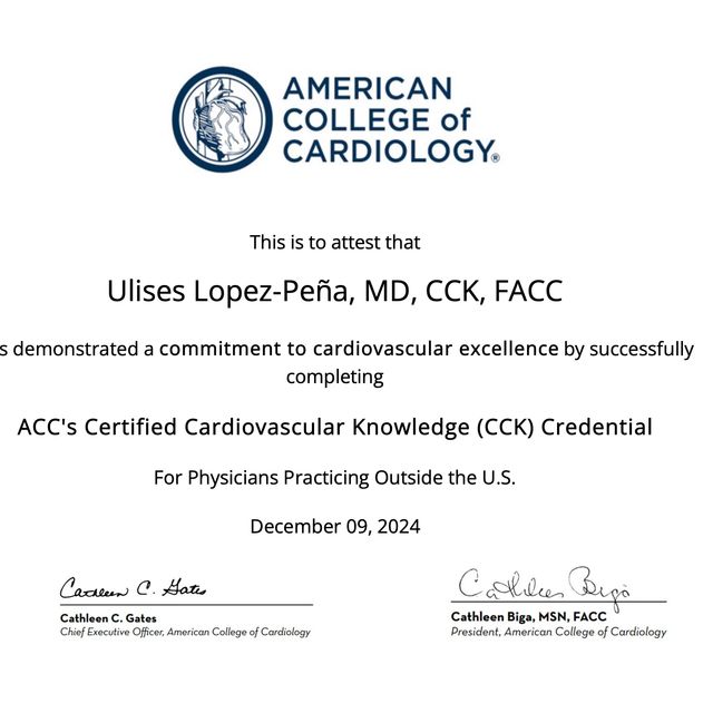 Ampliar imagen: certificate 4