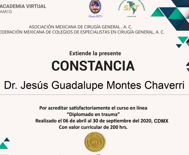 Ampliar imagen: certificate 6