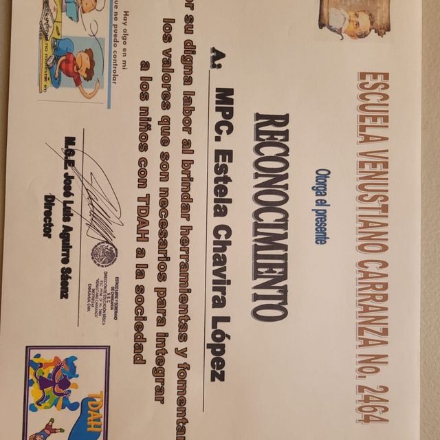 Ampliar imagen: certificate 4