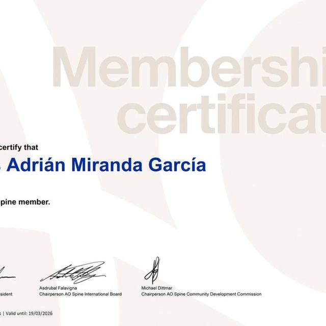 Ampliar imagen: certificate 2
