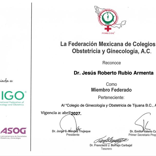 Ampliar imagen: certificate 29