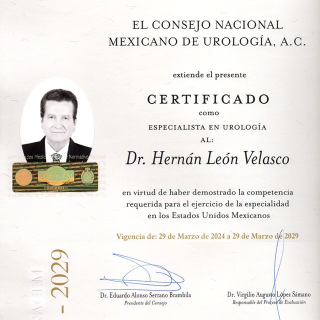 Ampliar imagen: certificate 1
