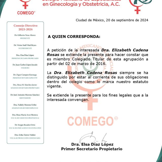 Ampliar imagen: certificate 3