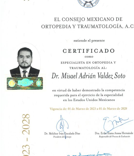 Ampliar imagen: certificate 1