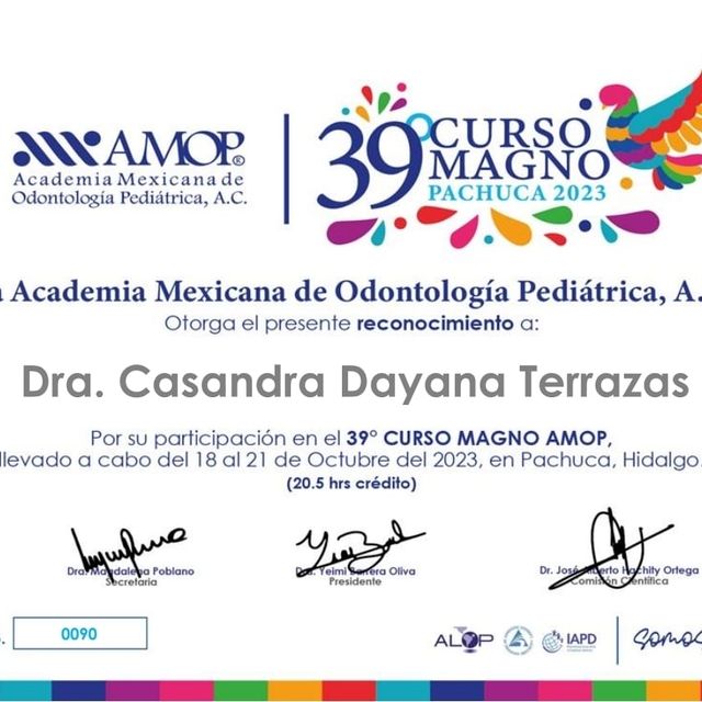 Ampliar imagen: certificate 13