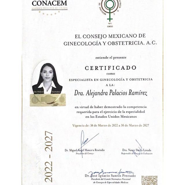 Ampliar imagen: certificate 2
