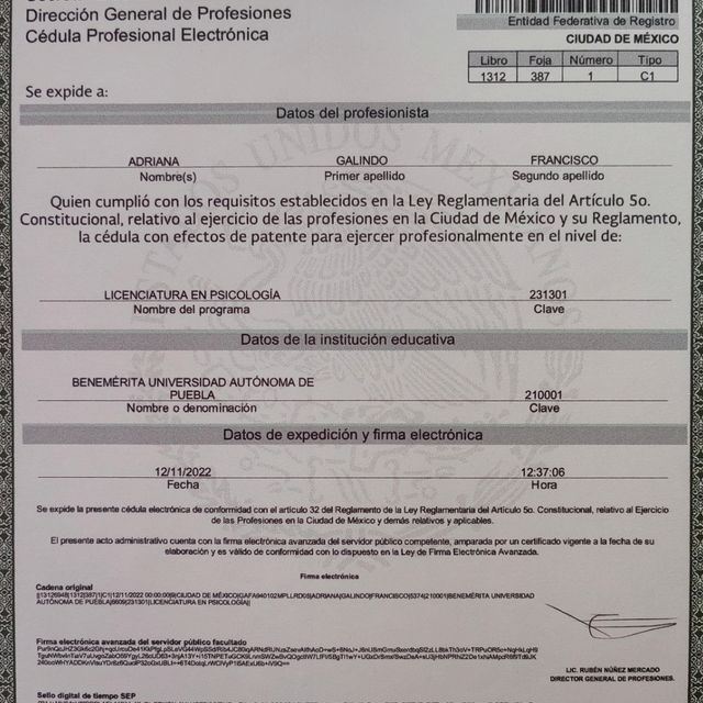Ampliar imagen: certificate 2