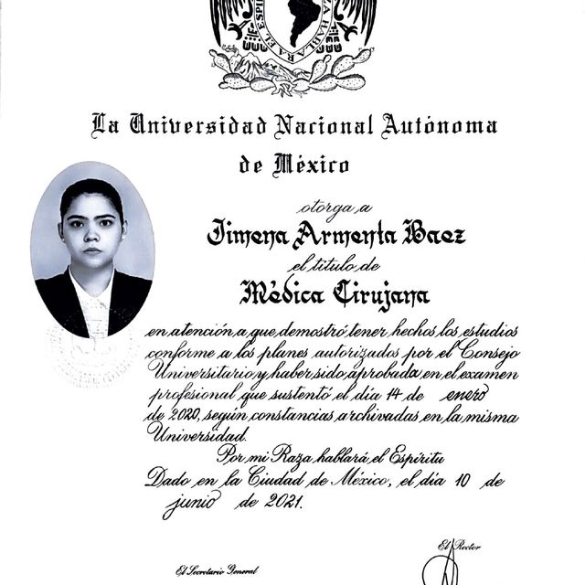 Ampliar imagen: certificate 3