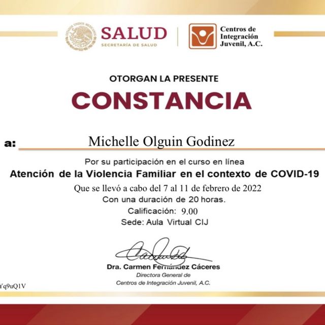 Ampliar imagen: certificate 15