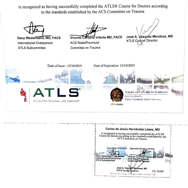 Ampliar imagen: certificate 23