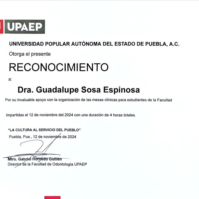 Ampliar imagen: certificate 5