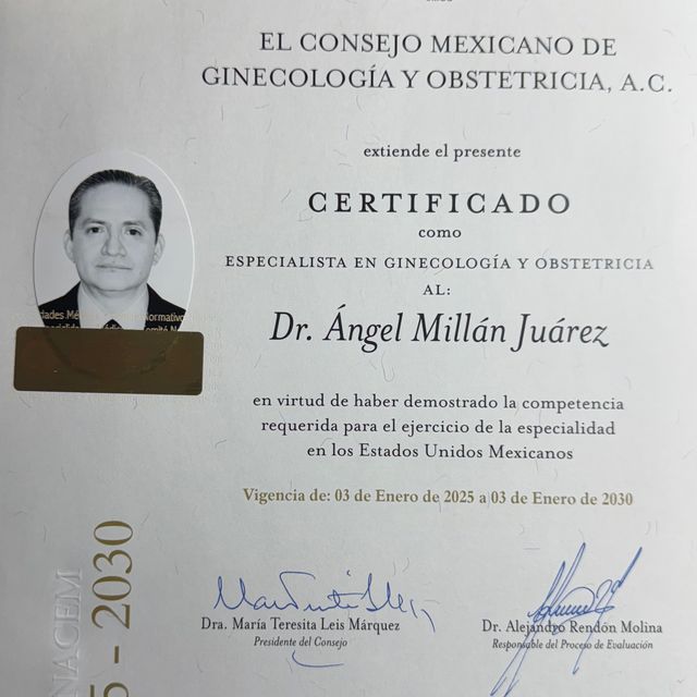 Ampliar imagen: certificate 9