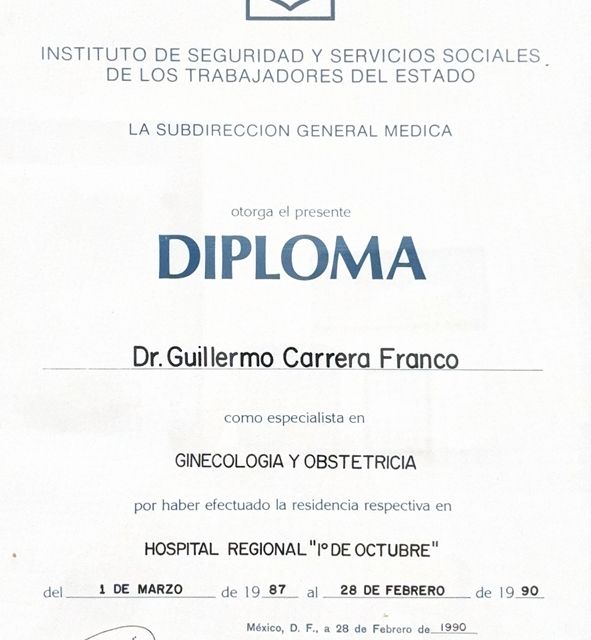 Ampliar imagen: certificate 3