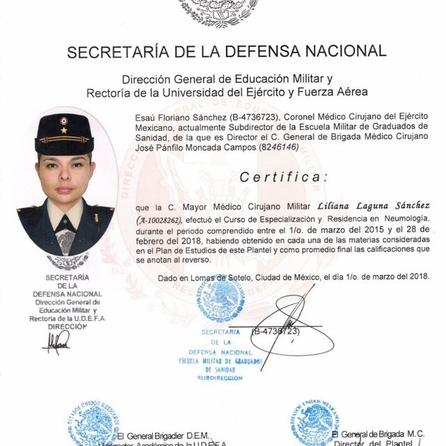 Ampliar imagen: certificate 3