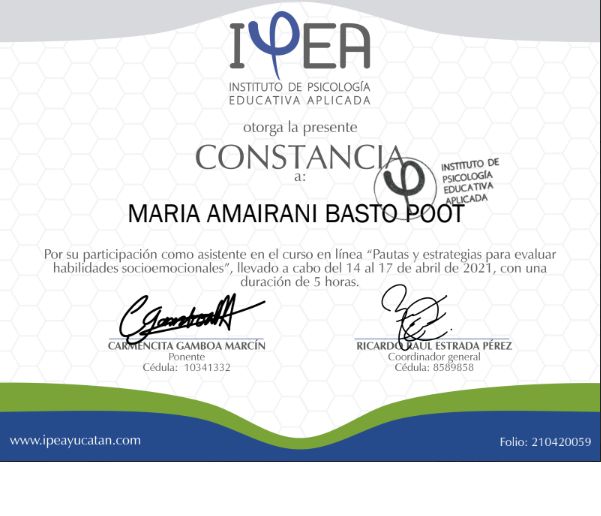 Ampliar imagen: certificate 7