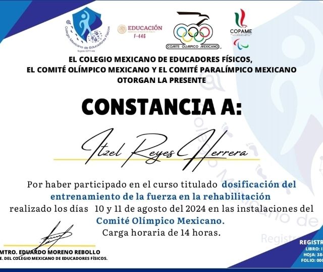 Ampliar imagen: certificate 8
