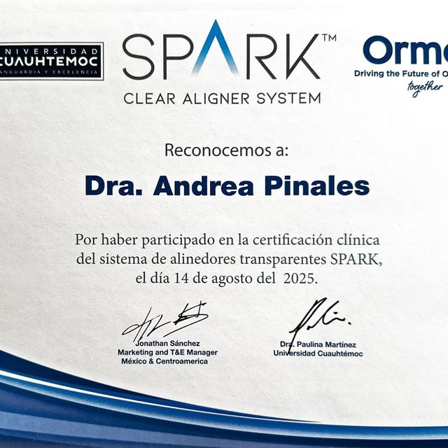 Ampliar imagen: certificate 5