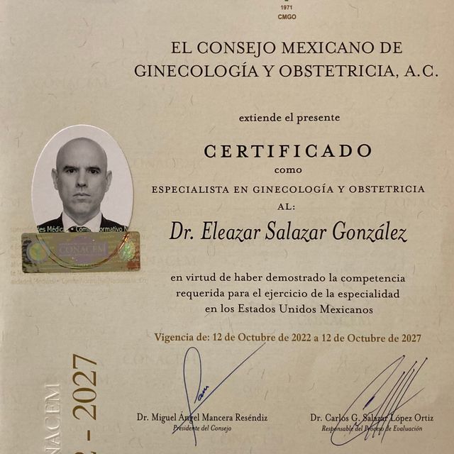 Ampliar imagen: certificate 2