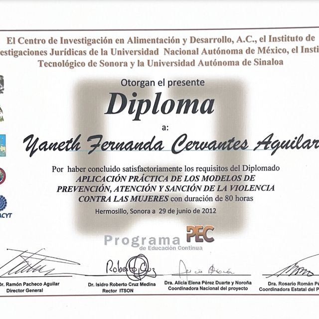Ampliar imagen: certificate 3