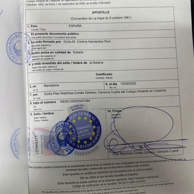 Ampliar imagen: certificate 19