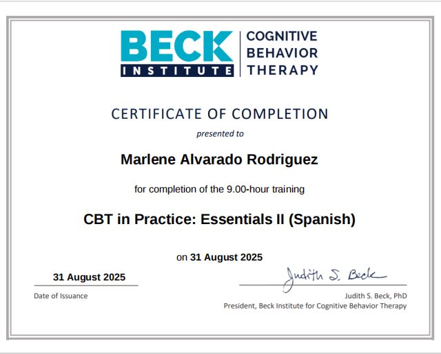 Ampliar imagen: certificate 1