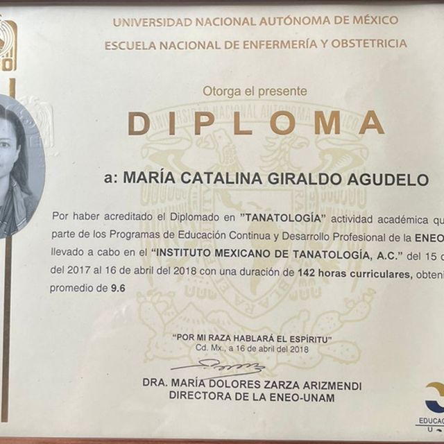 Ampliar imagen: certificate 3