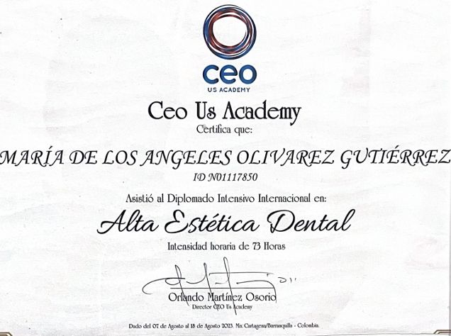 Ampliar imagen: certificate 6