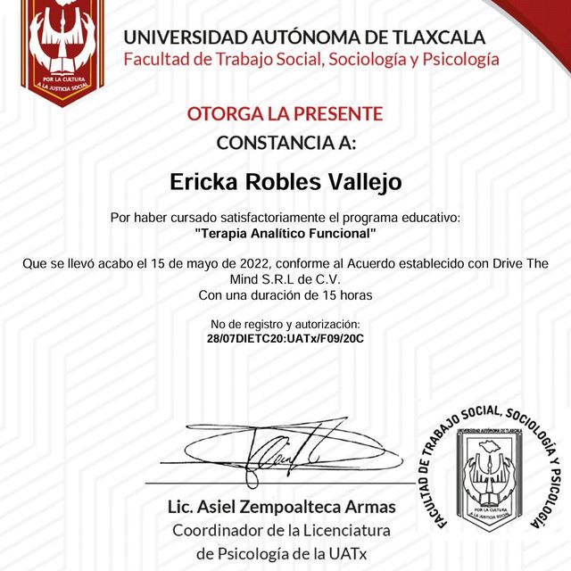 Ampliar imagen: certificate 3