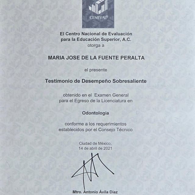 Ampliar imagen: certificate 2