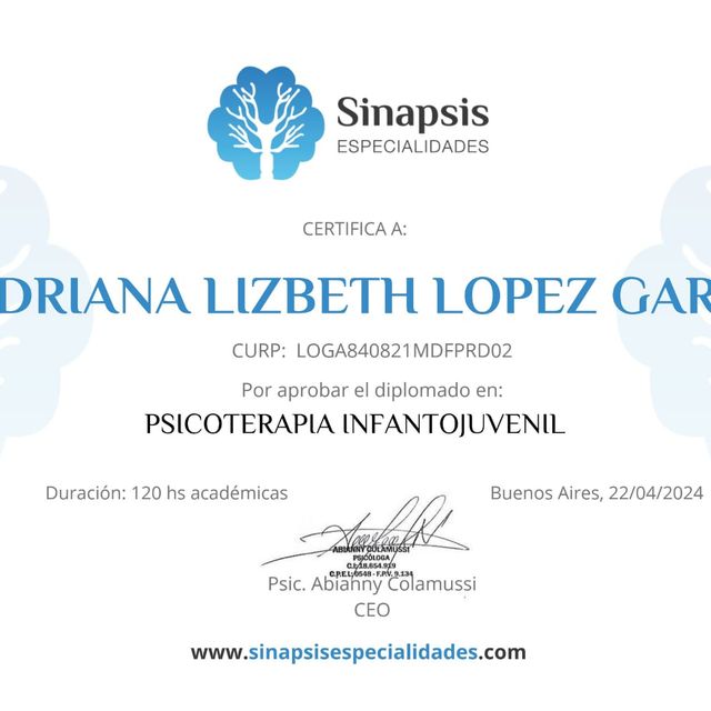 Ampliar imagen: certificate 3