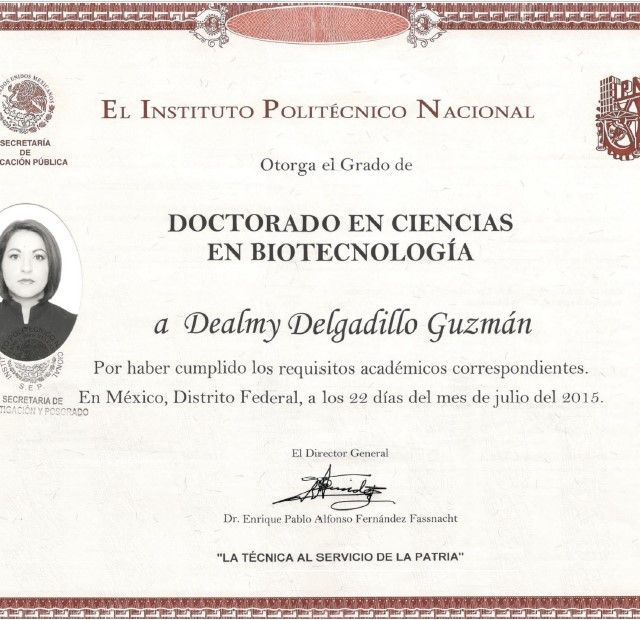 Ampliar imagen: certificate 3