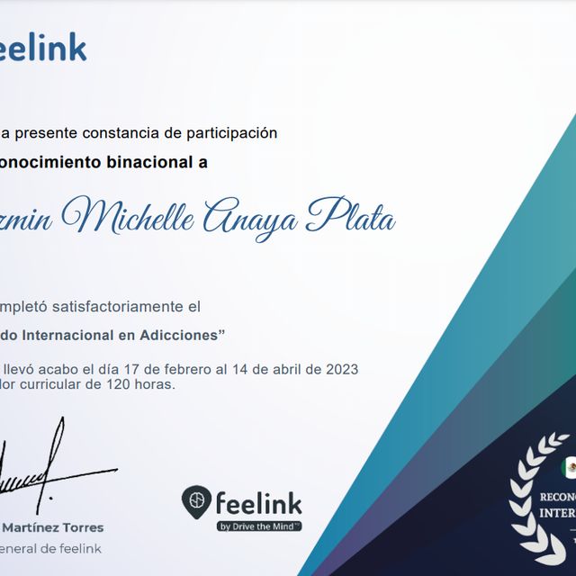 Ampliar imagen: certificate 4