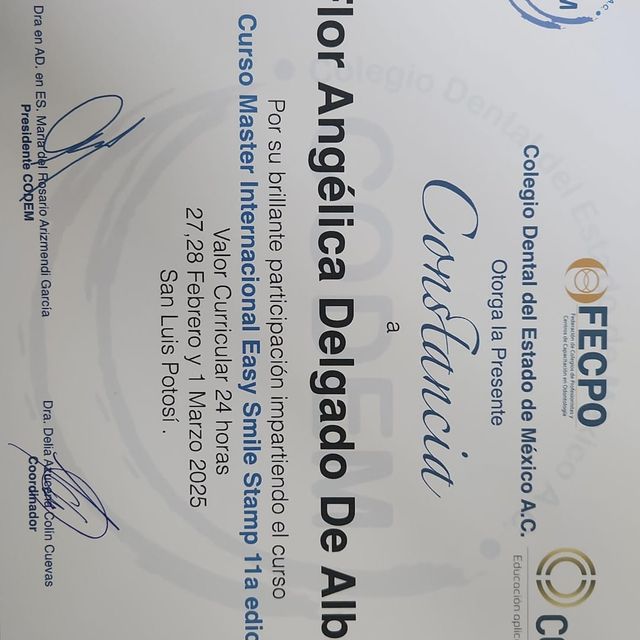 Ampliar imagen: certificate 1