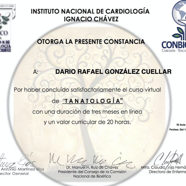 Ampliar imagen: certificate 4