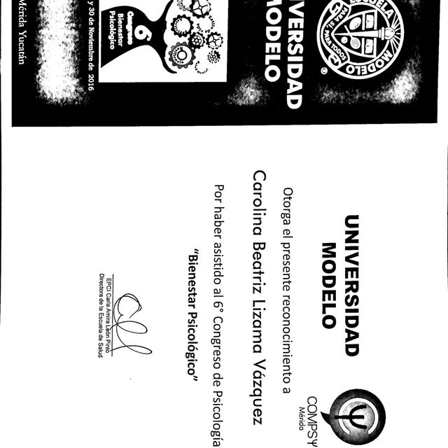 Ampliar imagen: certificate 7