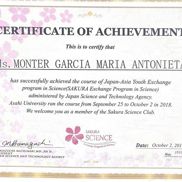 Ampliar imagen: certificate 2