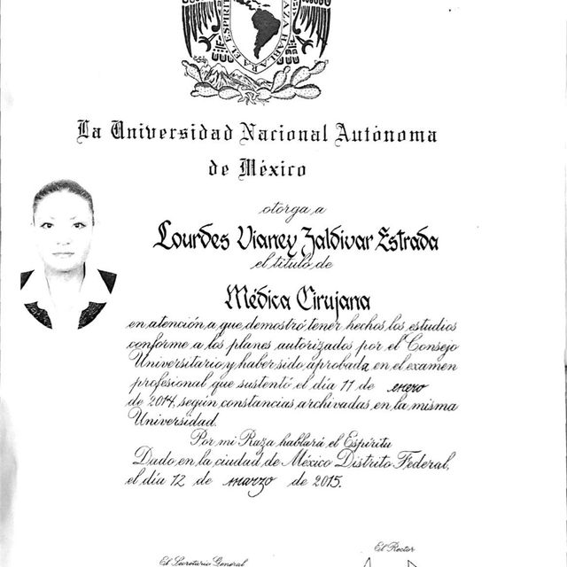 Ampliar imagen: certificate 7