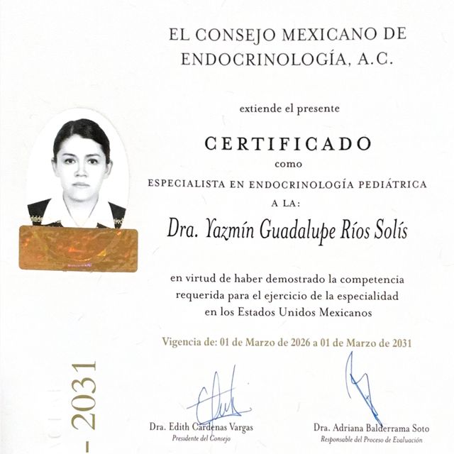 Ampliar imagen: certificate 3