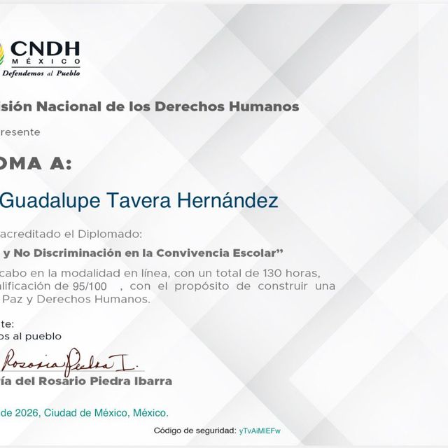 Ampliar imagen: certificate 86