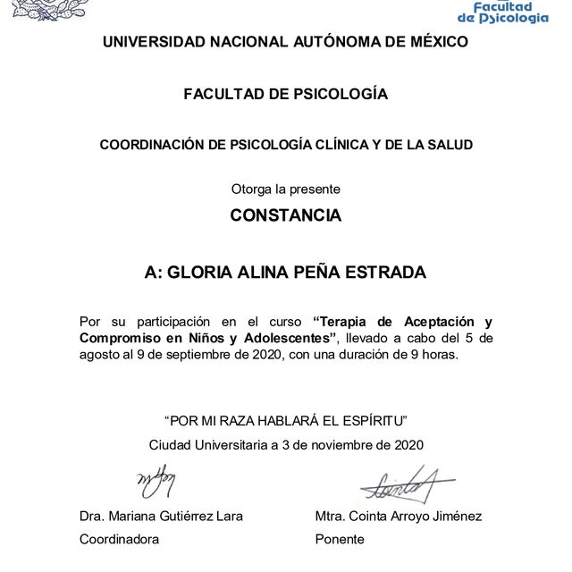 Ampliar imagen: certificate 28