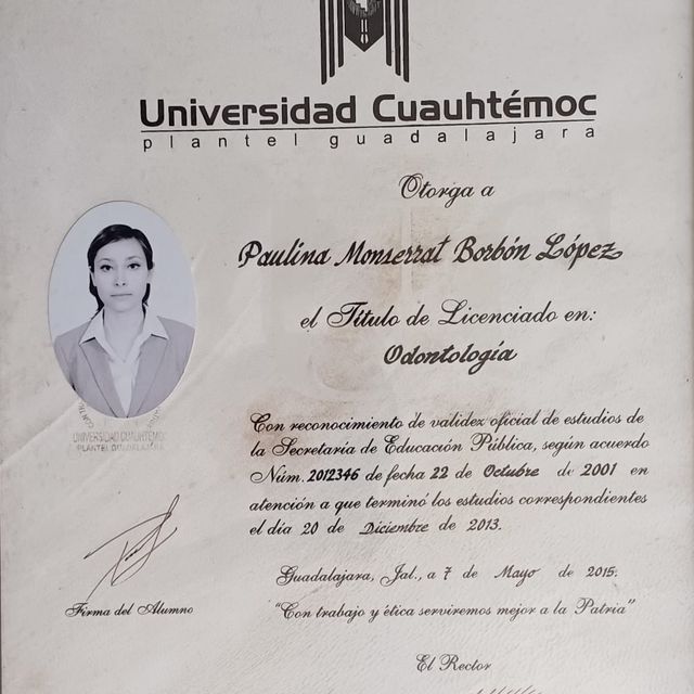 Ampliar imagen: certificate 3