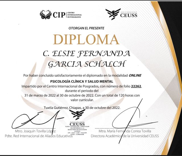 Ampliar imagen: certificate 4