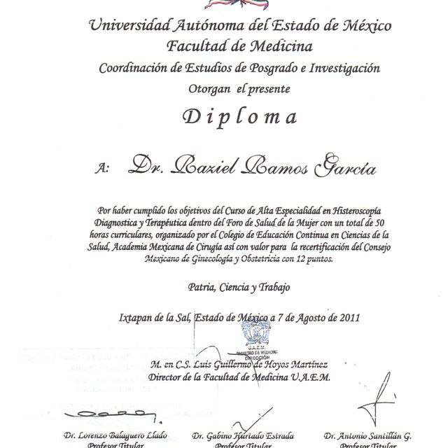 Ampliar imagen: certificate 9