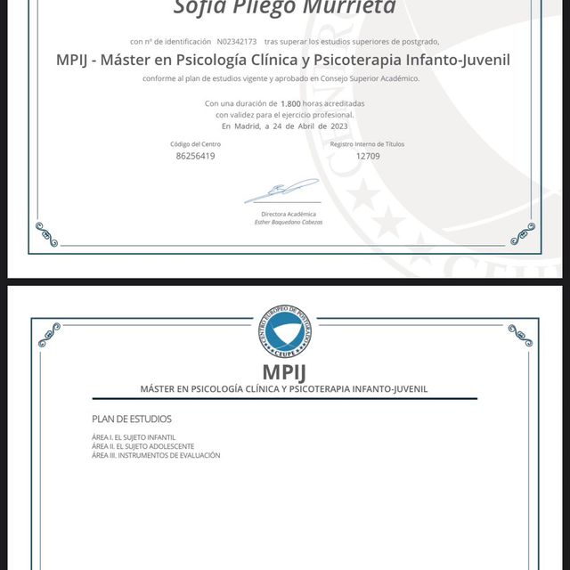 Ampliar imagen: certificate 3