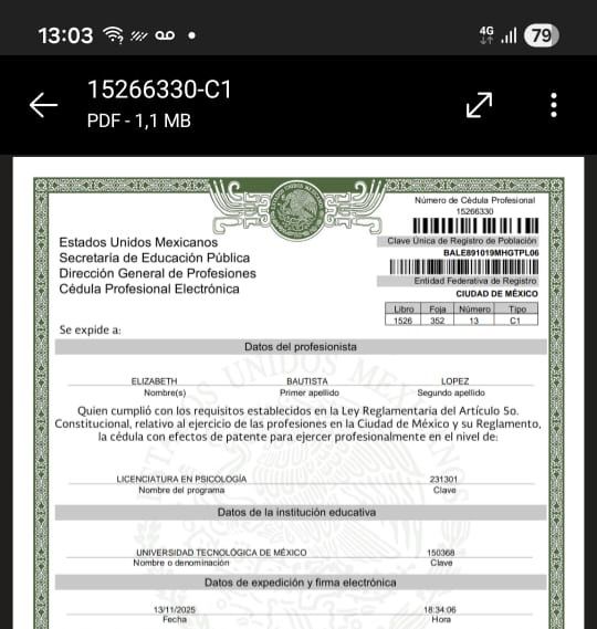 Ampliar imagen: certificate 2