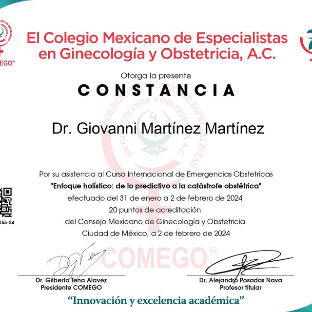 Ampliar imagen: certificate 1
