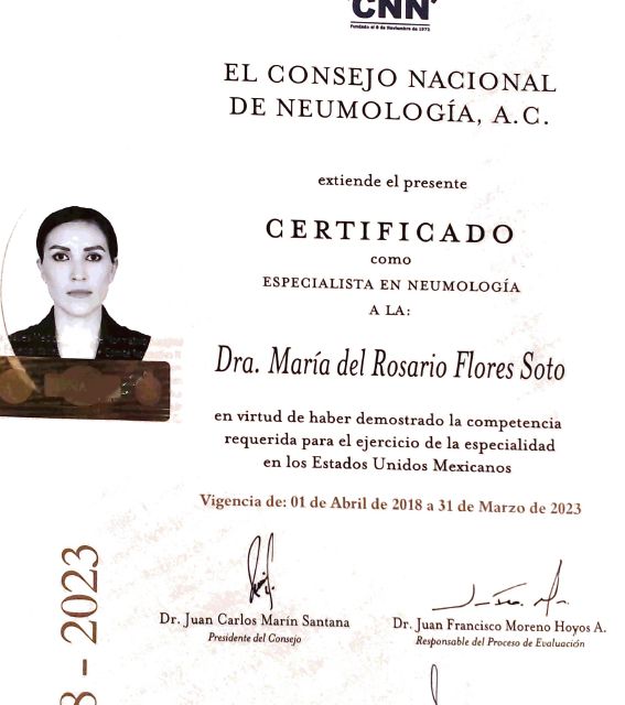 Ampliar imagen: certificate 3