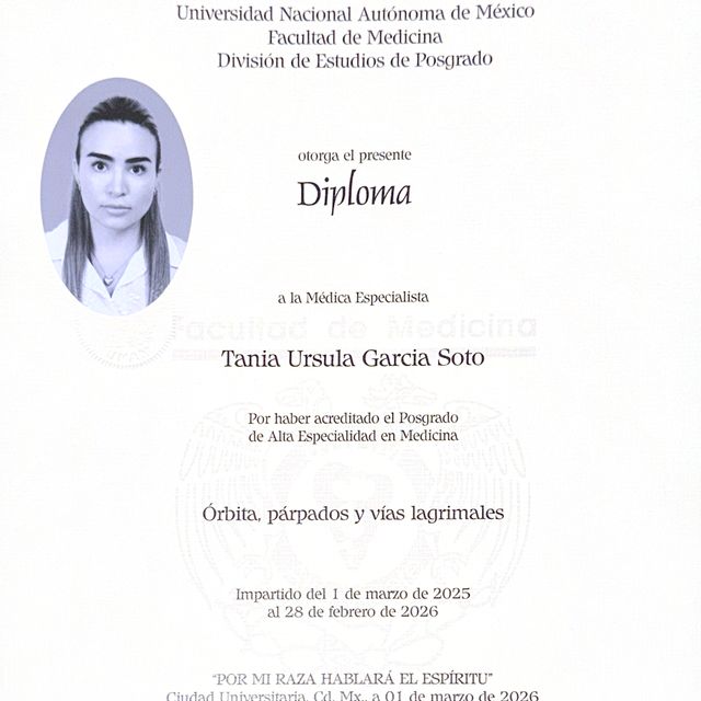 Ampliar imagen: certificate 4
