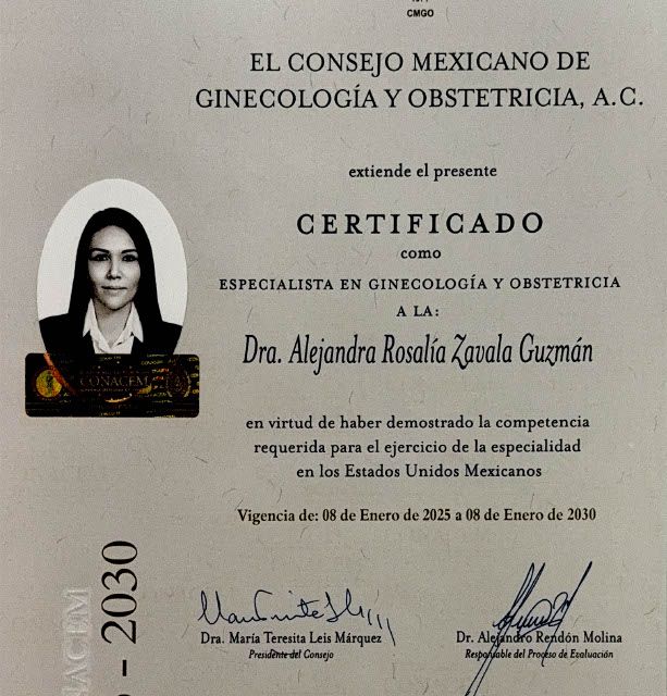 Ampliar imagen: certificate 1